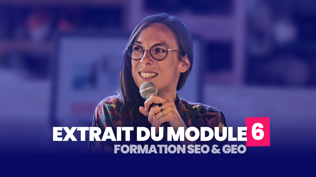 Extrait module 6 - Audit technique